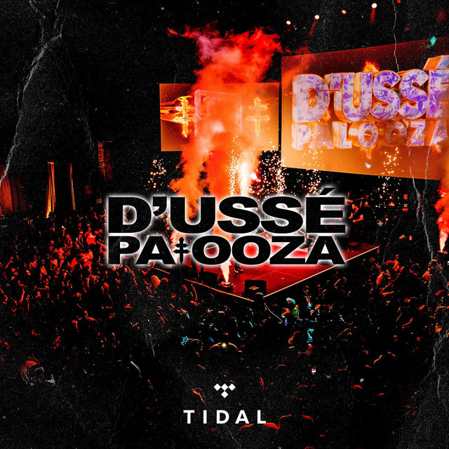 D'usse palooza at Barclays Center